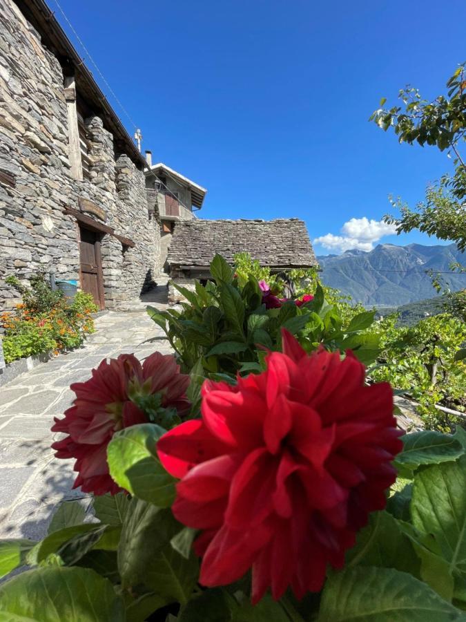 Casa Vacanze La Carbunera Villa Domodossola Exterior photo